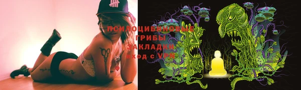 дурь Коряжма