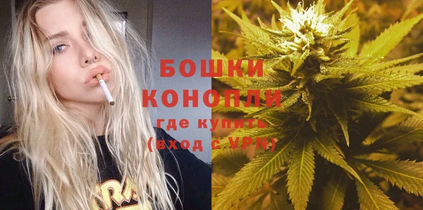гидра Кукмор