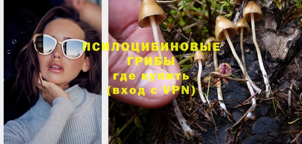 гидра Кукмор