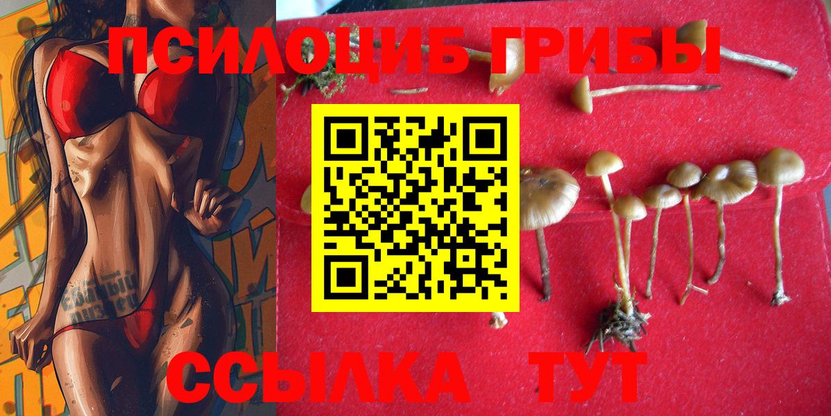 Сунжа  Псилоцибиновые грибы прущие грибы  магазин    Вход с VPN 