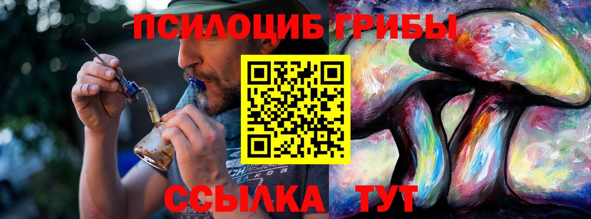 Псилоцибиновые грибы GOLDEN TEACHER  Сунжа 