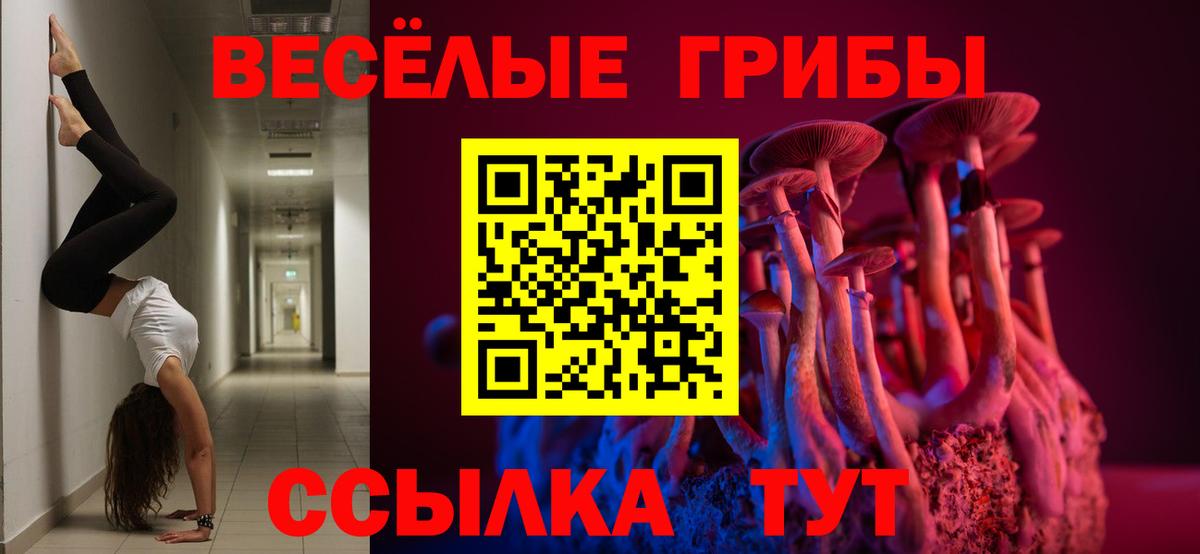 Галлюциногенные грибы ЛСД Сунжа