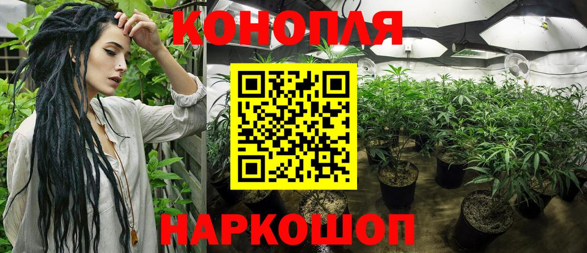 Канабис VHQ  Марихуана индика  Сунжа  Марихуана Bruce Banner  Марихуана MAZAR  Вход с VPN 